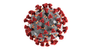 The Coronavirus Molecule